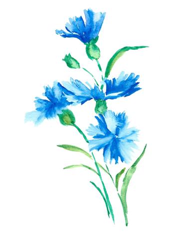 blue flower 1 thumb