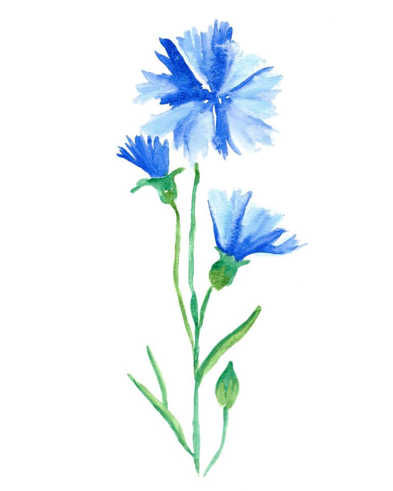 Print of Fine Art Floral Paintings by Daria Ceppelli