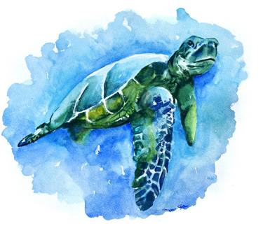 sea turtle watercolor thumb