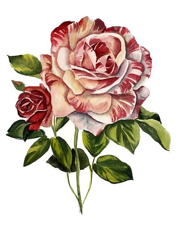 Original Floral Paintings by Daria Ceppelli