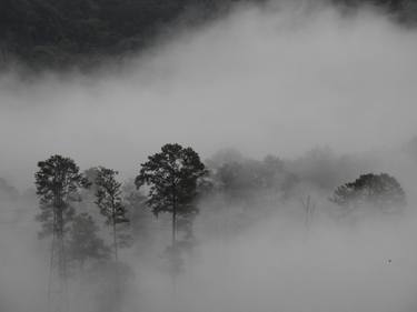 Print of Landscape Photography by Akmal Senja