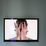 Collection Writing Flesh