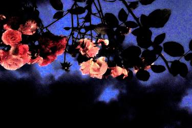 Original Expressionism Botanic Photography by Jutta Leitner