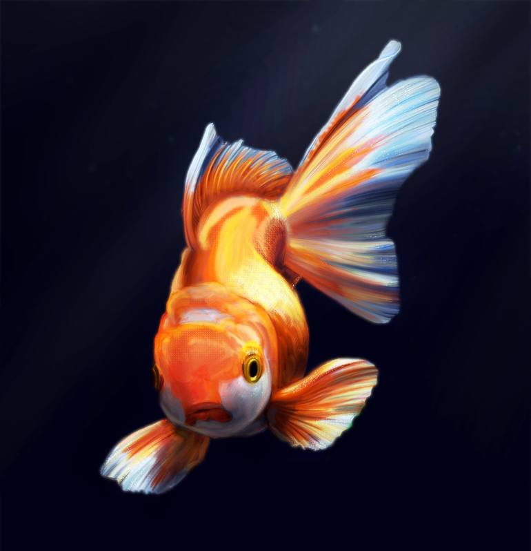 Realistic digital painting of a goldfish - Print