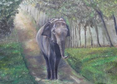 Print of Nature Paintings by Nilanga Ranasinghe