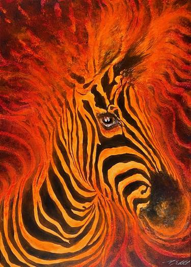 Fiery Zebra thumb