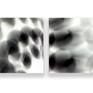 Smoke and Mirrors diptych.
