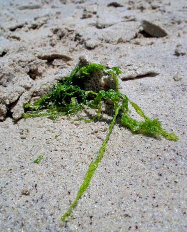 Original Beach Photography by Kleoniki Vanos