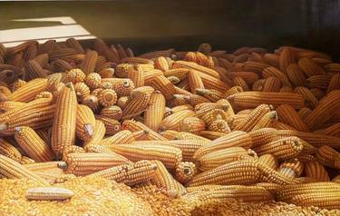 Photorealistic still life oil painting:Corns c107 thumb