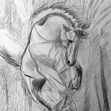 Horse 2 thumb