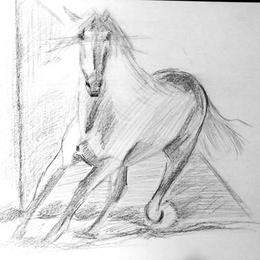 Original Black & White Animal Drawing by Lalla Pluto