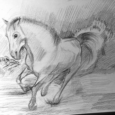 Original Black & White Animal Drawing by Lalla Pluto