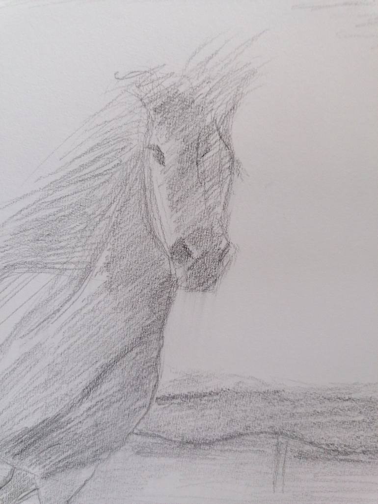 Original Animal Drawing by Lalla Pluto