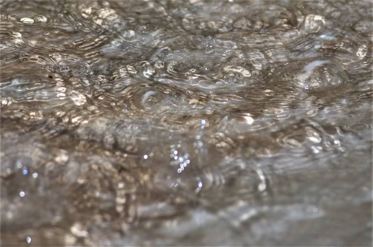 Original Abstract Water Photography by Rohini Bhamidipati