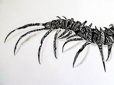 Original Animal Drawing by Jennifer Robison