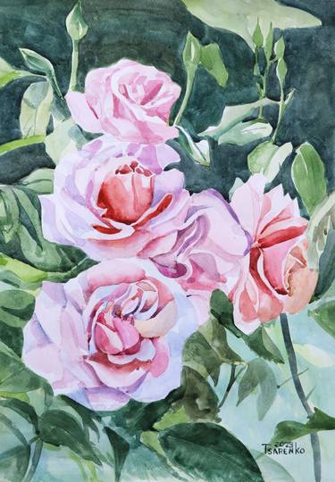 Watercolor painting Pink roses by Denys Tsarenko Original thumb