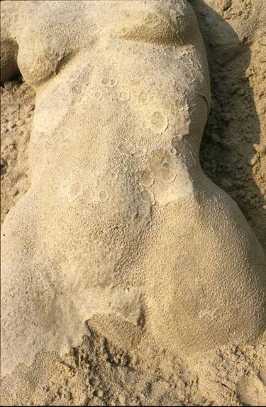 SAND SCULPTURE thumb