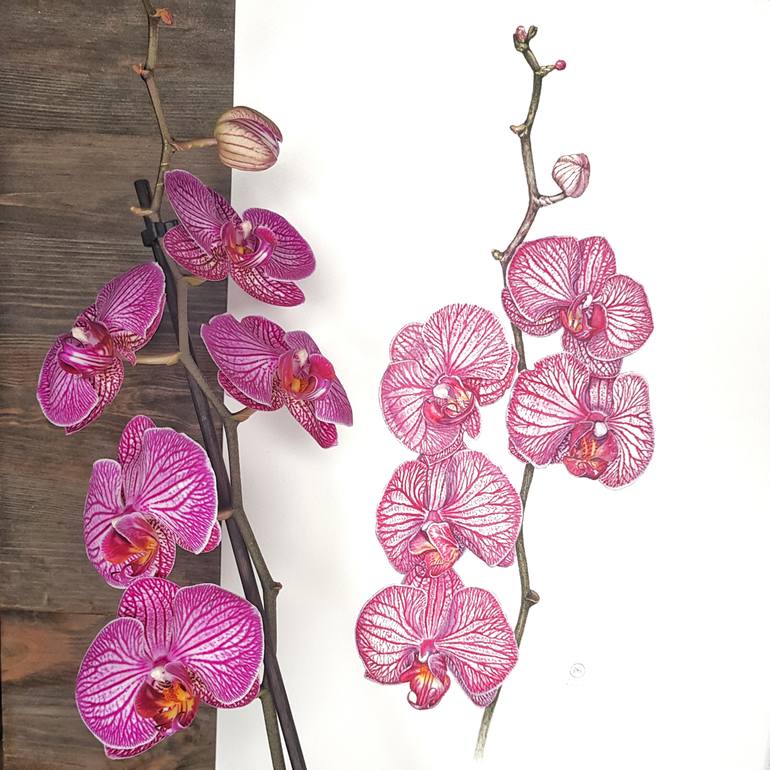 Original Figurative Botanic Painting by Yuliia Moiseieva