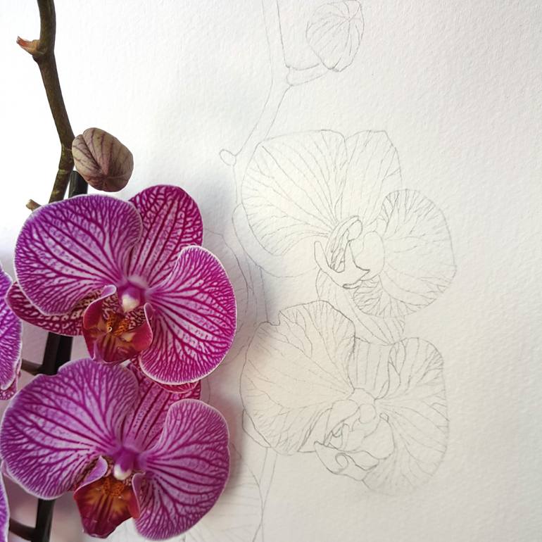 Original Figurative Botanic Painting by Yuliia Moiseieva