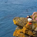 Collection Iceland Open Editions