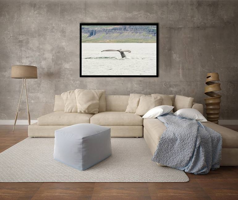 Original Contemporary Animal Photography by Luigi Morbidelli