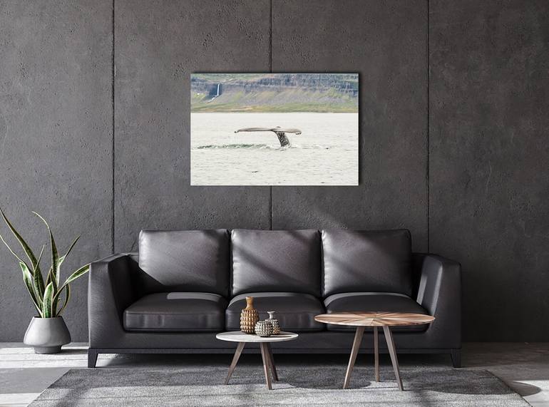 Original Contemporary Animal Photography by Luigi Morbidelli
