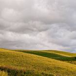 Collection Italy Limited Editions