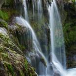 Collection Italy Open Editions