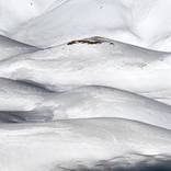 Collection Italy Limited Editions