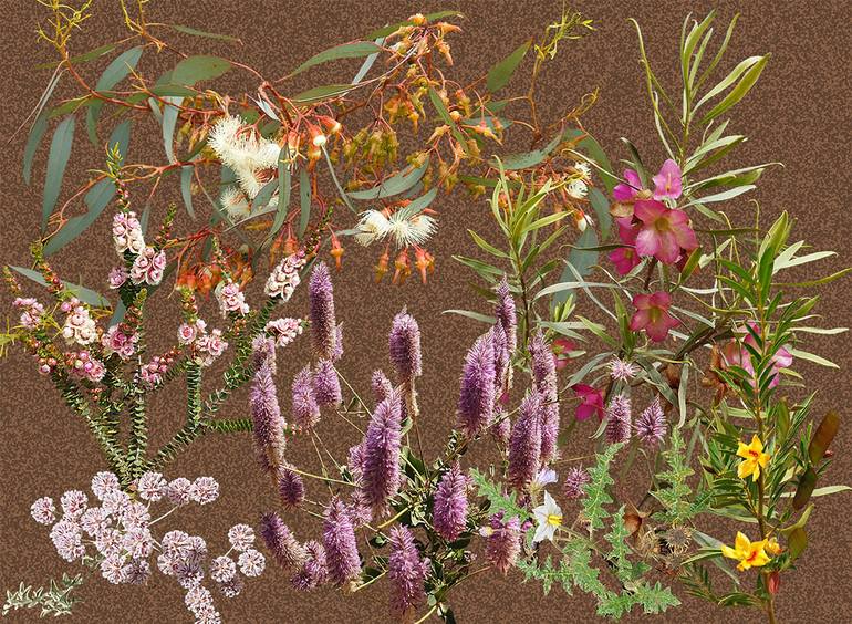 Original Photorealism Botanic Collage by Sally Maltby