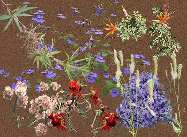 Original Conceptual Botanic Collage by Sally Maltby