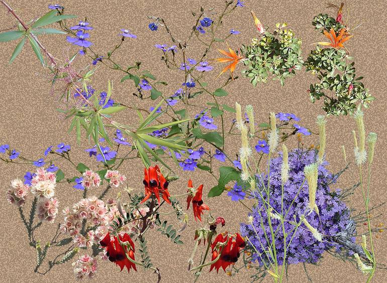 Original Conceptual Botanic Collage by Sally Maltby