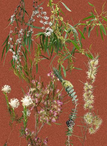Original Realism Botanic Collage by Sally Maltby
