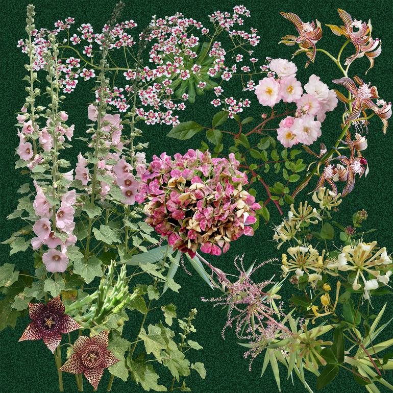 Original Botanic Collage by Sally Maltby