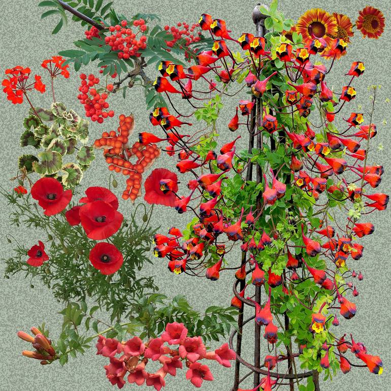 Original Digital Art Botanic Collage by Sally Maltby
