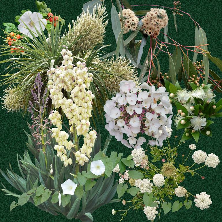 Original Photorealism Botanic Collage by Sally Maltby