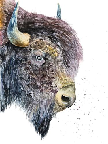 Print of Realism Animal Paintings by Jack Ball