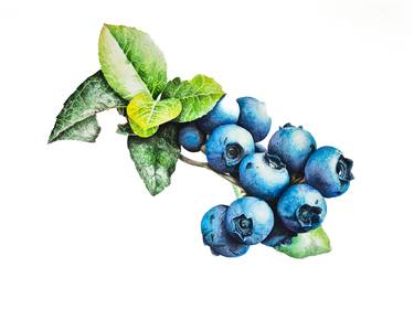 Blueberries thumb