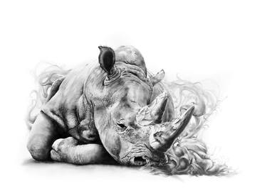 Print of Realism Animal Drawings by Jack Ball