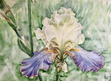 Original Fine Art Floral Paintings by Nataliya Mykhalova