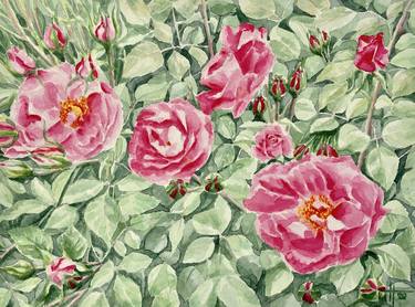 Original Floral Painting by Nataliya Mykhalova