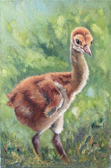 Young Sandhill crane thumb