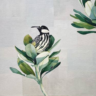 Original Illustration Botanic Paintings by Clare McCartney