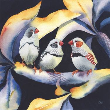 Original Illustration Animal Paintings by Clare McCartney