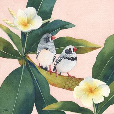 Original Illustration Animal Paintings by Clare McCartney