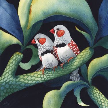 Original Illustration Botanic Paintings by Clare McCartney