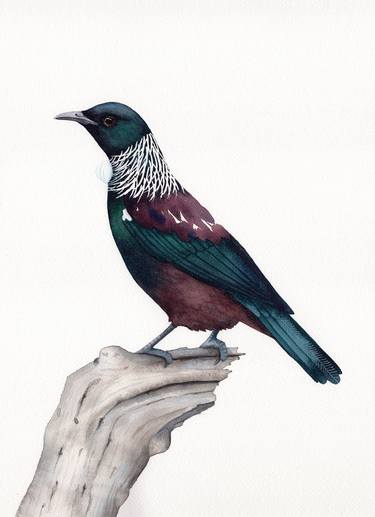 Original Folk Animal Paintings by Clare McCartney