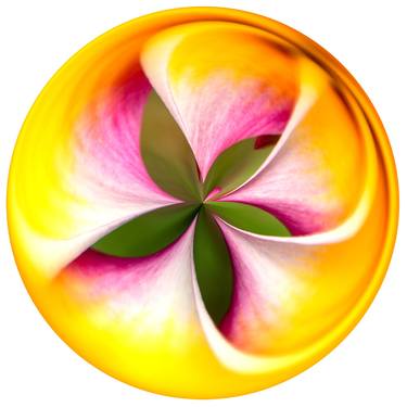 Flower in a Flower - Limited Edition of 100 thumb