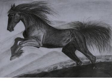 Print of Figurative Animal Drawings by Anjana Jain