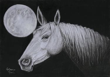 Horse under moon light thumb